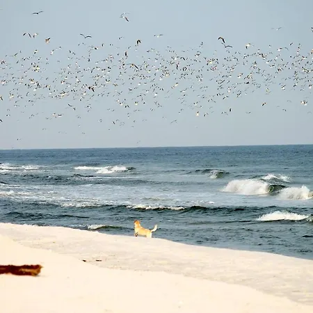 White Pearl 3.07 Apartamento *